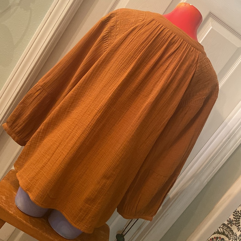 WONDERLY Rust V-Neck Blouse - Picture 10 of 12